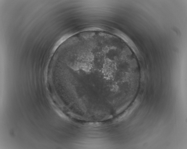 X0000114120858200910191722