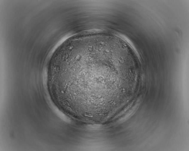 X0000114120859200910191722