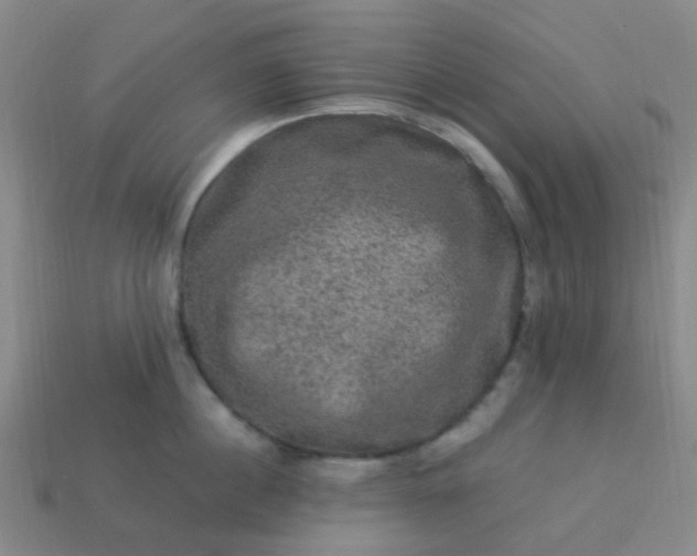 X0000114120860200910191722