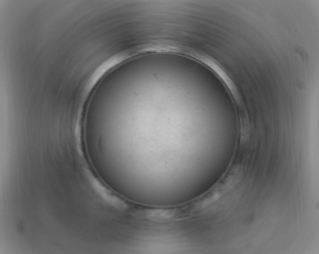 X0000114120861200910191722