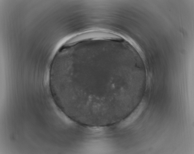 X0000114120862200910191722