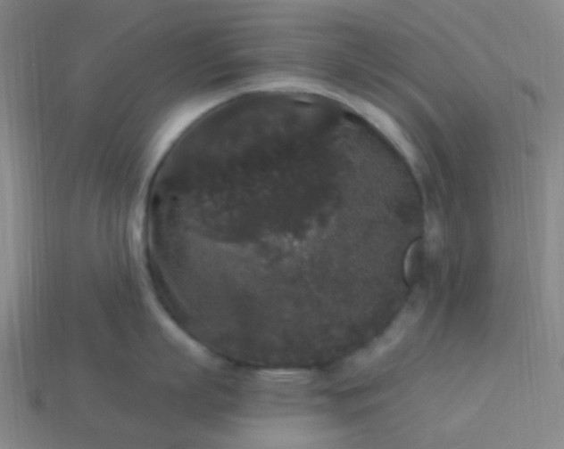 X0000114120863200910191722