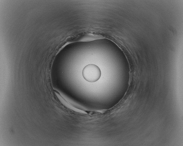 X0000114120865200910191721