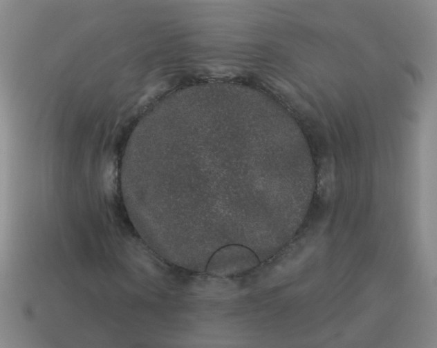 X0000114120866200910191721