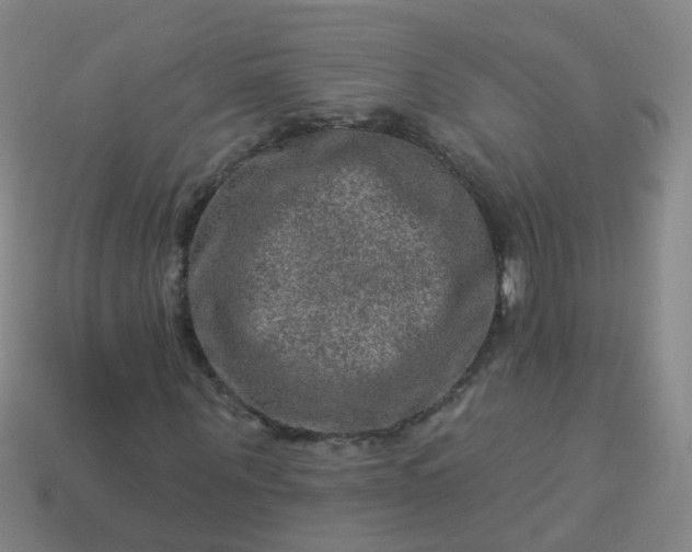 X0000114120867200910191721