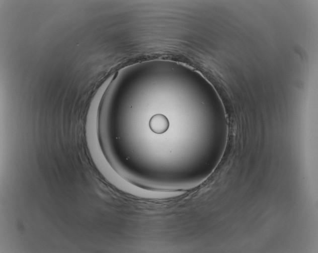 X0000114120868200910191721