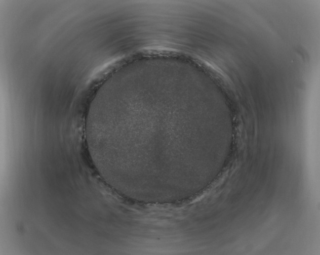 X0000114120870200910191721