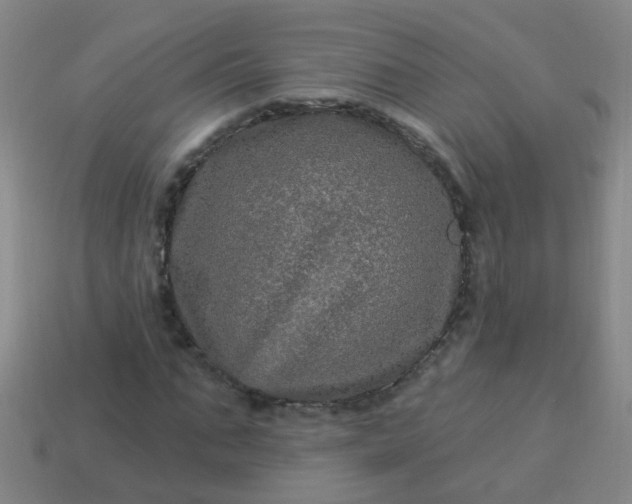 X0000114120871200910191721