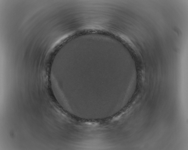 X0000114120872200910191721