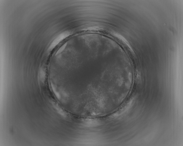 X0000114120874200910191721