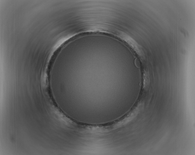 X0000114120876200910191721