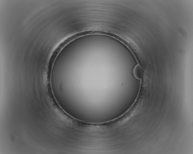 X0000114120880200910191721