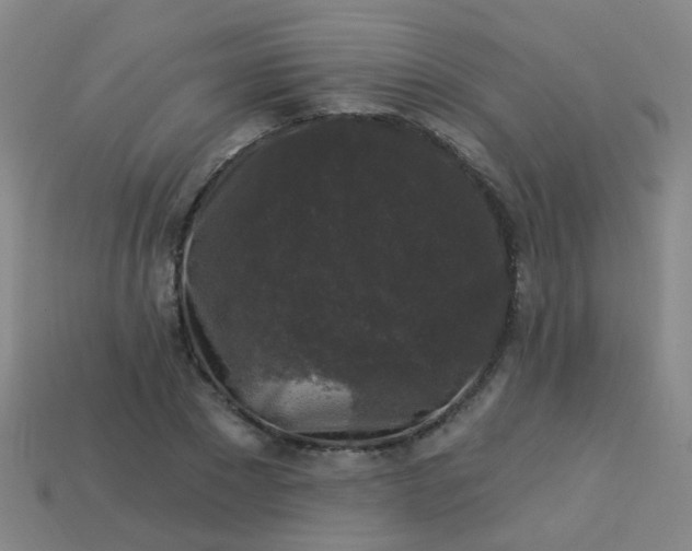 X0000114120881200910191721