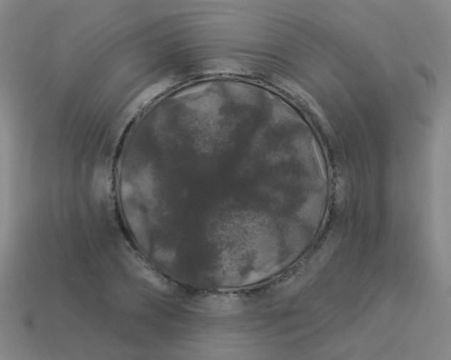 X0000114120882200910191721