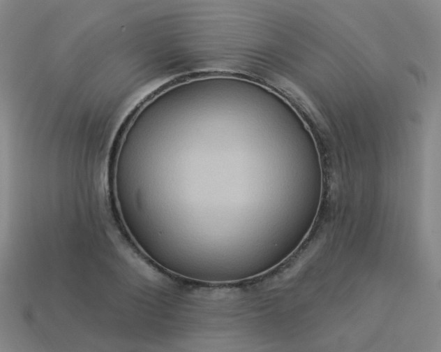 X0000114120884200910191721