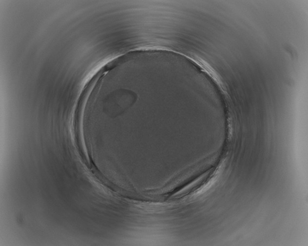 X0000114120885200910191721