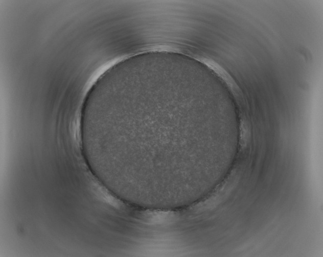 X0000114120886200910191721