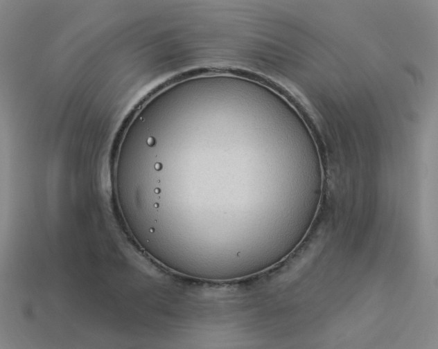 X0000114120887200910191721