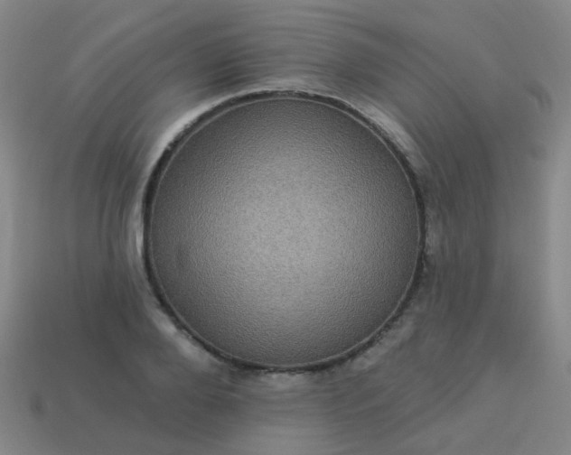 X0000114120888200910191721