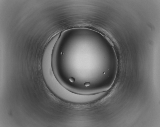 X0000114120889200910191721