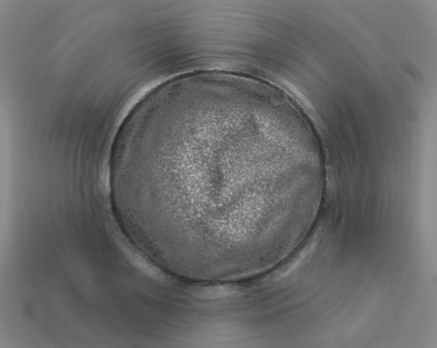 X0000114120891200910191721