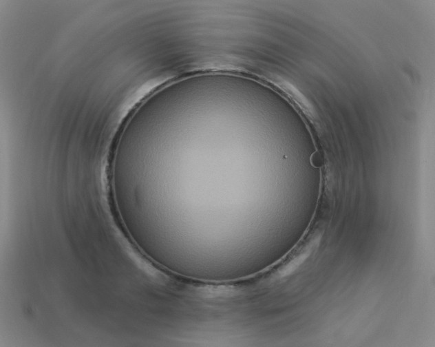 X0000114120893200910191721