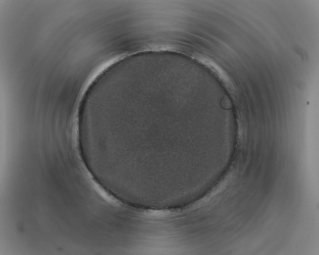 X0000114120894200910191721