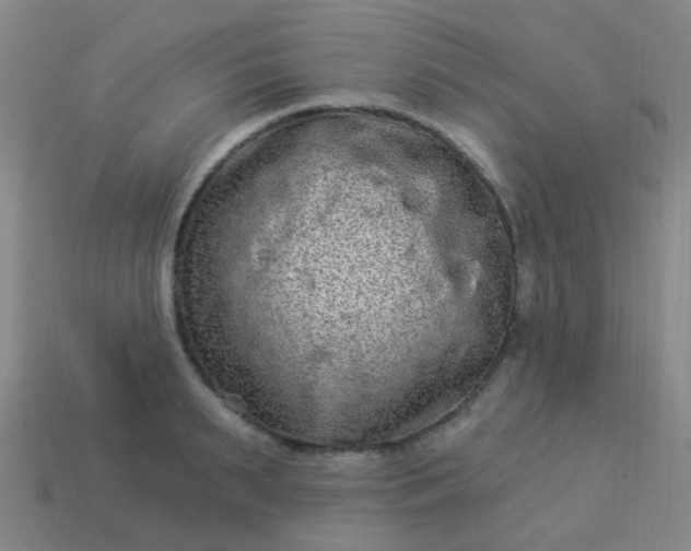 X0000114120895200910191721