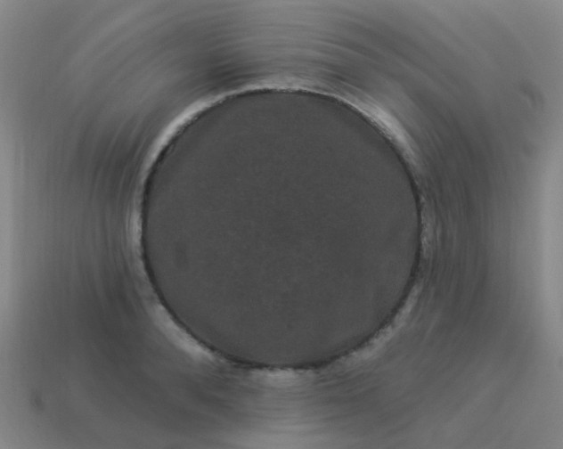 X0000114120896200910191721