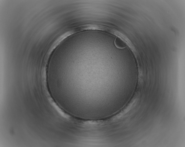 X0000114120898200910191721