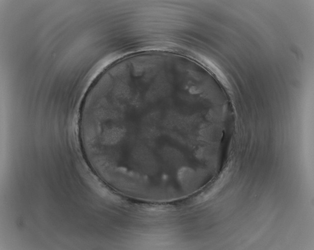 X0000114120899200910191721