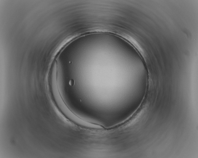 X0000114120901200910191721