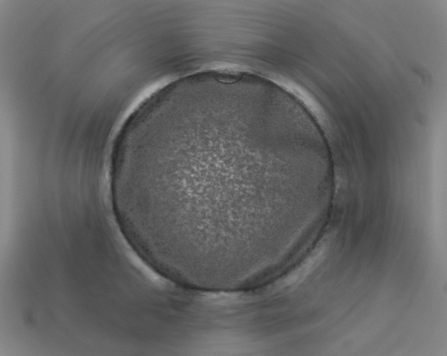 X0000114120902200910191721