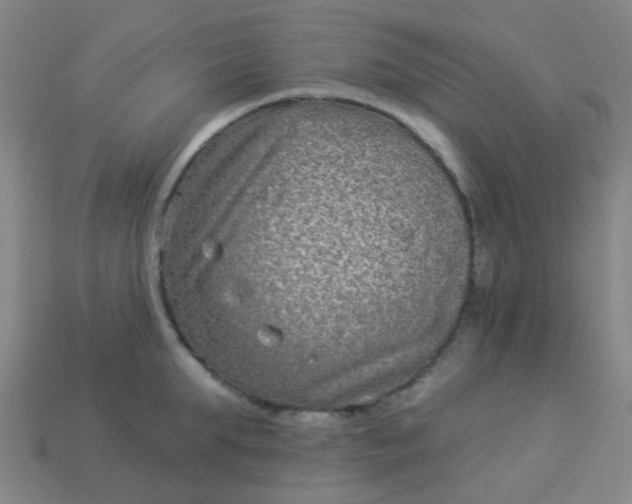 X0000114120903200910191721