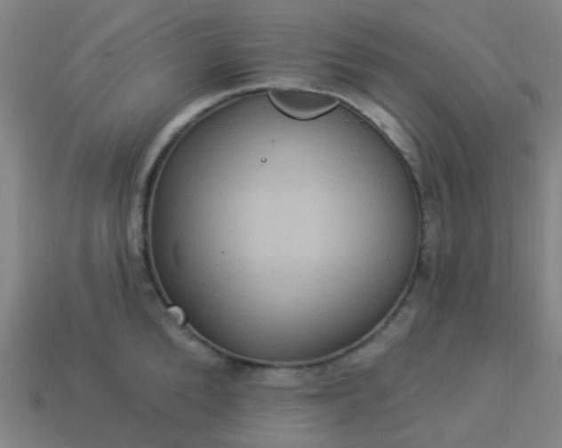 X0000114120904200910191721