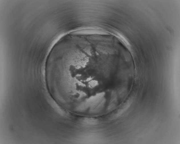 X0000114120907200910191721