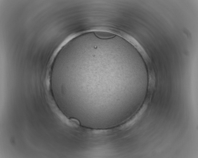 X0000114120908200910191721