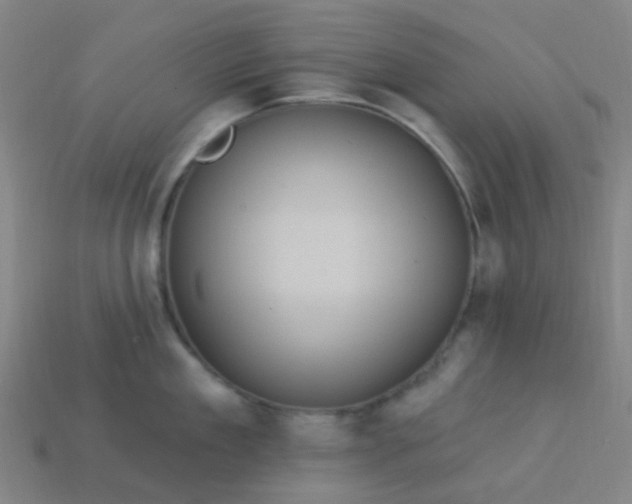 X0000114120909200910191721