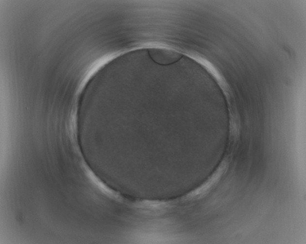 X0000114120910200910191721