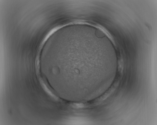 X0000114120911200910191721