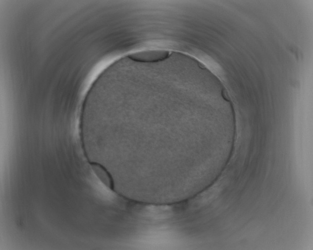 X0000114120912200910191721