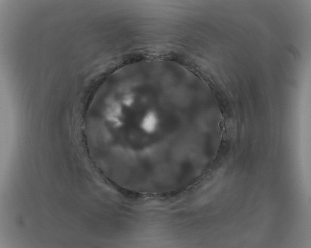 X0000114120913200910191720