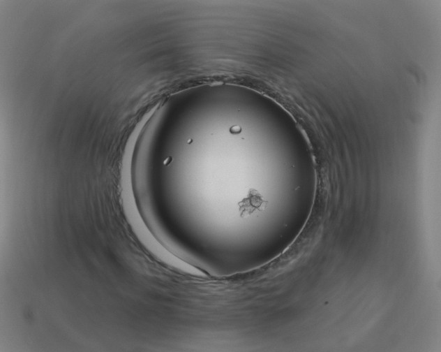 X0000114120916200910191720