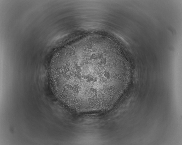 X0000114120917200910191720