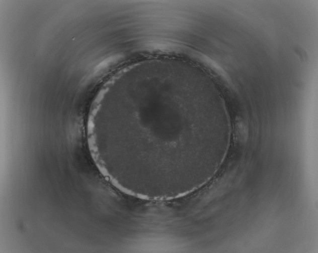 X0000114120918200910191720