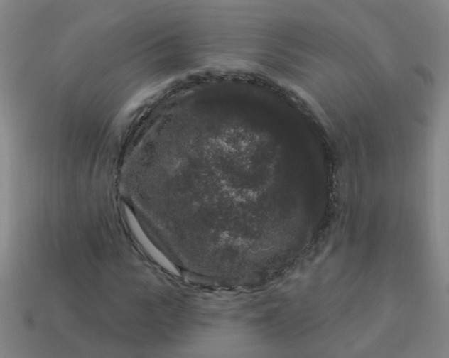 X0000114120919200910191720