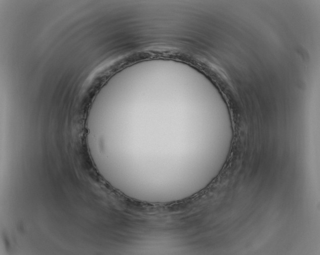 X0000114120920200910191720