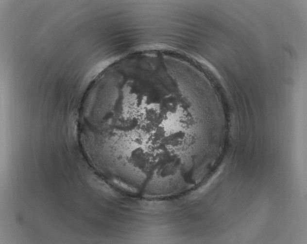 X0000114120921200910191720