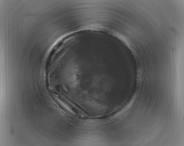 X0000114120923200910191720