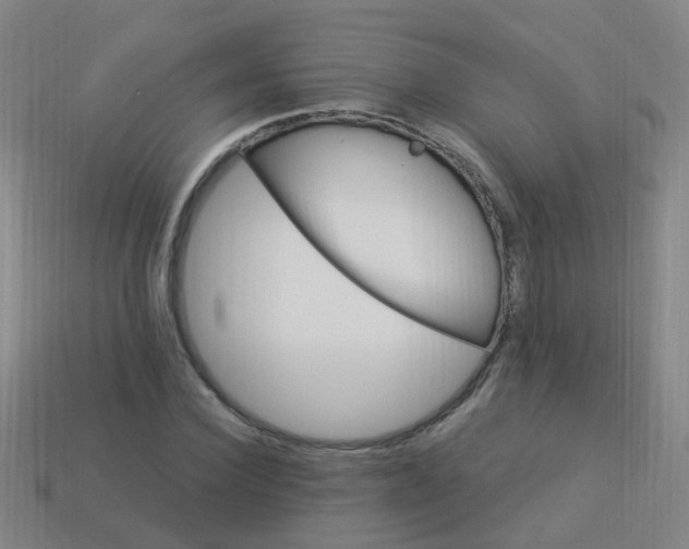 X0000114120924200910191720